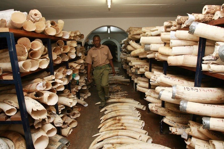 A government ivory stockpile in Zimbabwe: Photo: AFP/Desmond Kwande