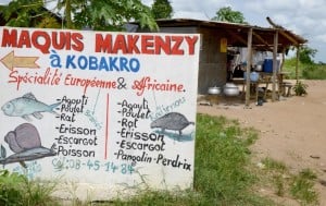 A sign for a maquis or small restaurant outside Abidjan, which serves bushmeat. The Ministry of Health has asked Ivorians, "particularly fond of porcupine and agouti," a small rodent, to avoid consuming or handling the meat, as an unprecedented Ebola epidemic hit West Africa, claiming more than 100 lives. The virus can spread to primates and humans who handle infected meat -- a risk given the informal trade in "bushmeat" in forested central and west Africa. Photo: AFP/Issouf Sanogo