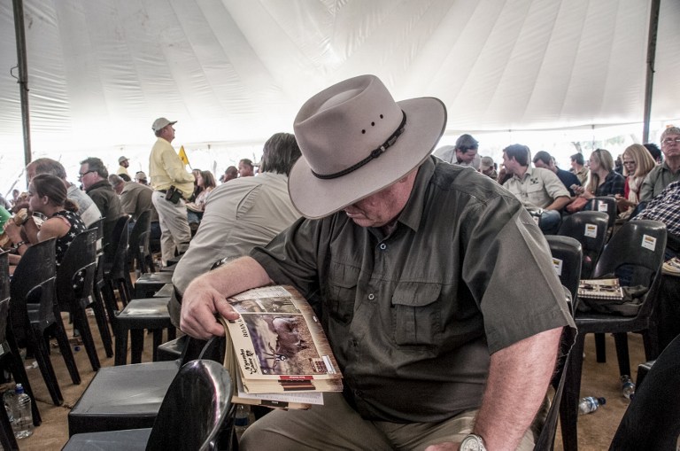 A prospective buyer looks at a magazine during the Stud Game Breeders auction. Photo: AFP/Stefan Heunis