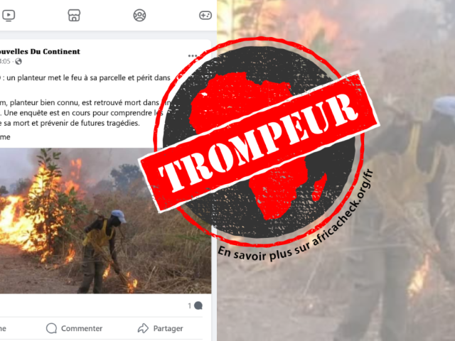 Capture d'écran de la publication avec tampon pour l'article Côte d'Ivoire-agriculture-incendie-Bangolo.