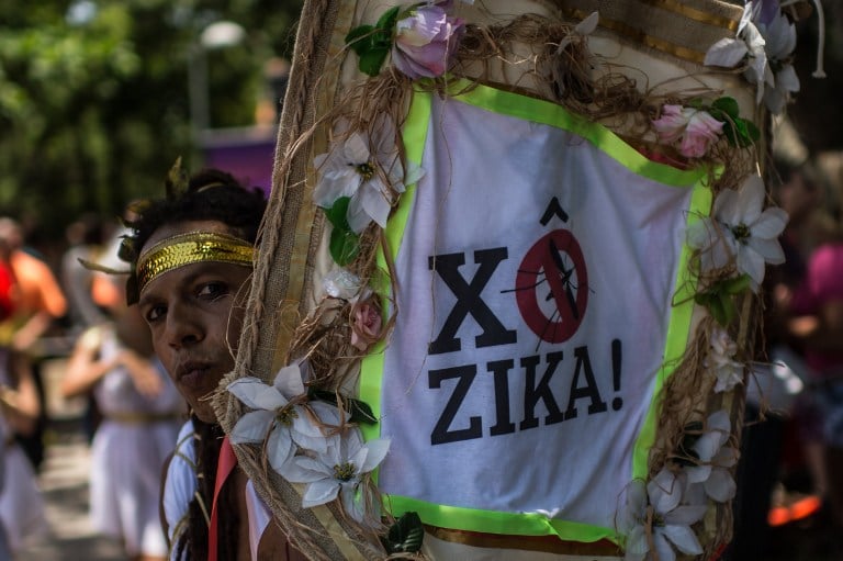 Residents of Rio de Janeiro, Brazil, participating in the annual carnival in January 2016 raise awareness of the need to stop the spread of the mosquitoes carrying the zika virus. Photo: AFP/Christophe Simon