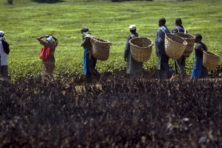 Workers at a tea farm in western Kenya carry their baskets past a tea field set alight during ethnic clashes in February 2008. Photo: AFP/Yasuyoshi Chiba