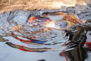 Spilled crude oil floats in the Niger delta at Bodo, a village in the oil-producing region of Ogoniland. PHOTO: AFP/PIUS UTOMI EKPEI