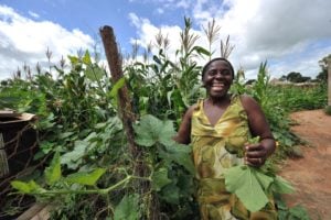 A woman smiles as she inspects the maize crop on a small-scale farm in Chinhamora, Zimbabwe, in February 2011. Photo: AFP/ALEXANDER JOE