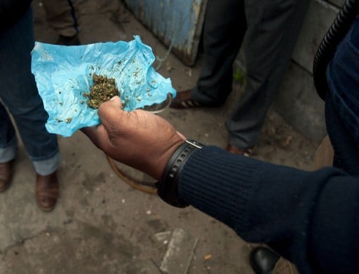 A member of the Cape Town metro police holds marijuana seized in Manenburg outside Cape Town in August 2013. Photo: AFP/RODGER BOSCH
