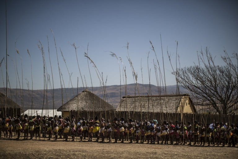 Young Zulu women carry ceremonial reeds in September 2014 during the annual reed dance ceremony (uMkhosi woMhlanga) that celebrates their virginity. Photo: AFP/MARCO LONGARI