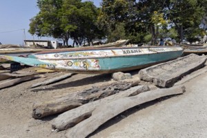 Les pirogues en bois des pêcheurs doivent être remplacées par des bateaux en fibre de verre pour combattre la déforestation. Photo: AFP / SEYLLOU