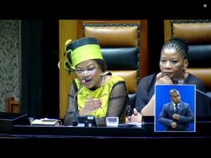 Parliamentary Speaker Baleka Mbete (left) and the Chair of the National Council of Provinces, Thandi Modise, look on as EFF MPs scuffle with 'security forces' in Parliament. Screengrab: Parliamentary TV