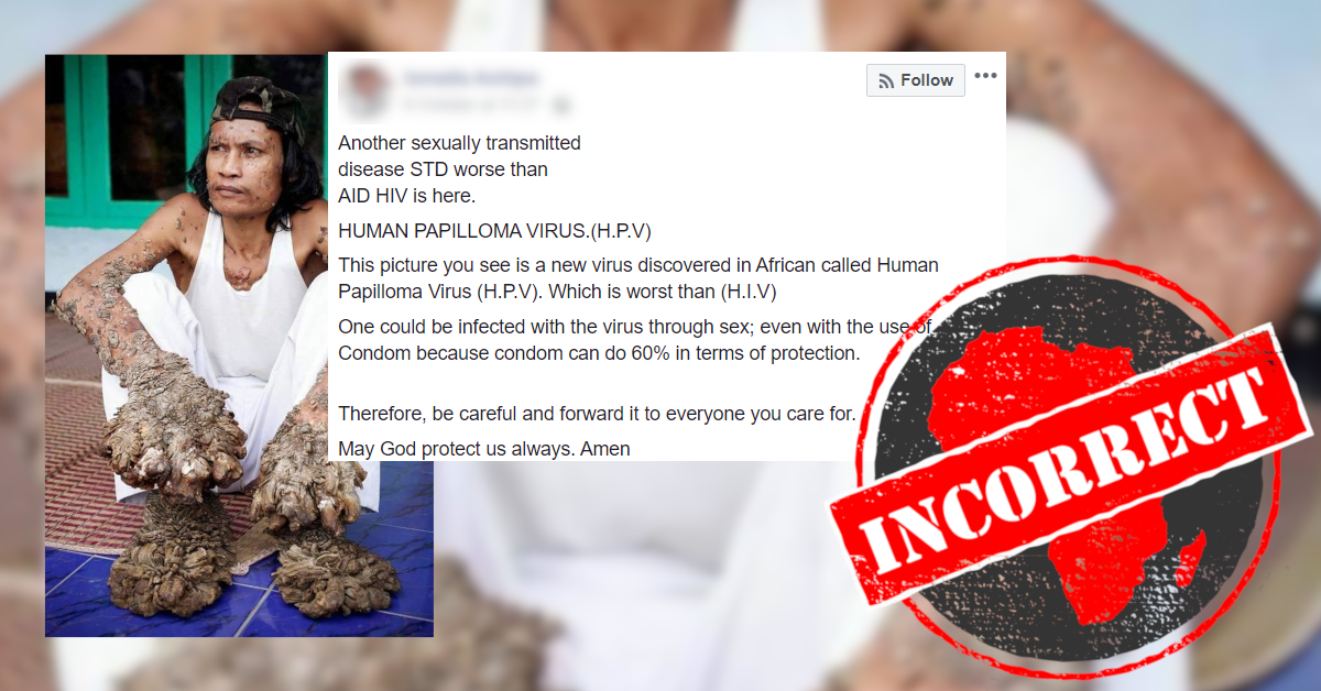 Virus hpv 