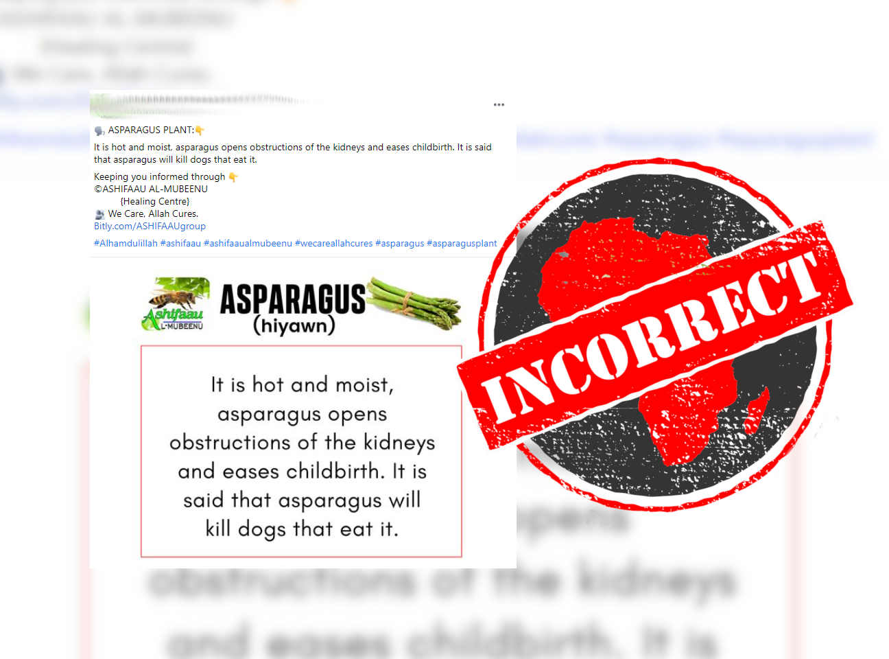 Asparagus_Incorrect
