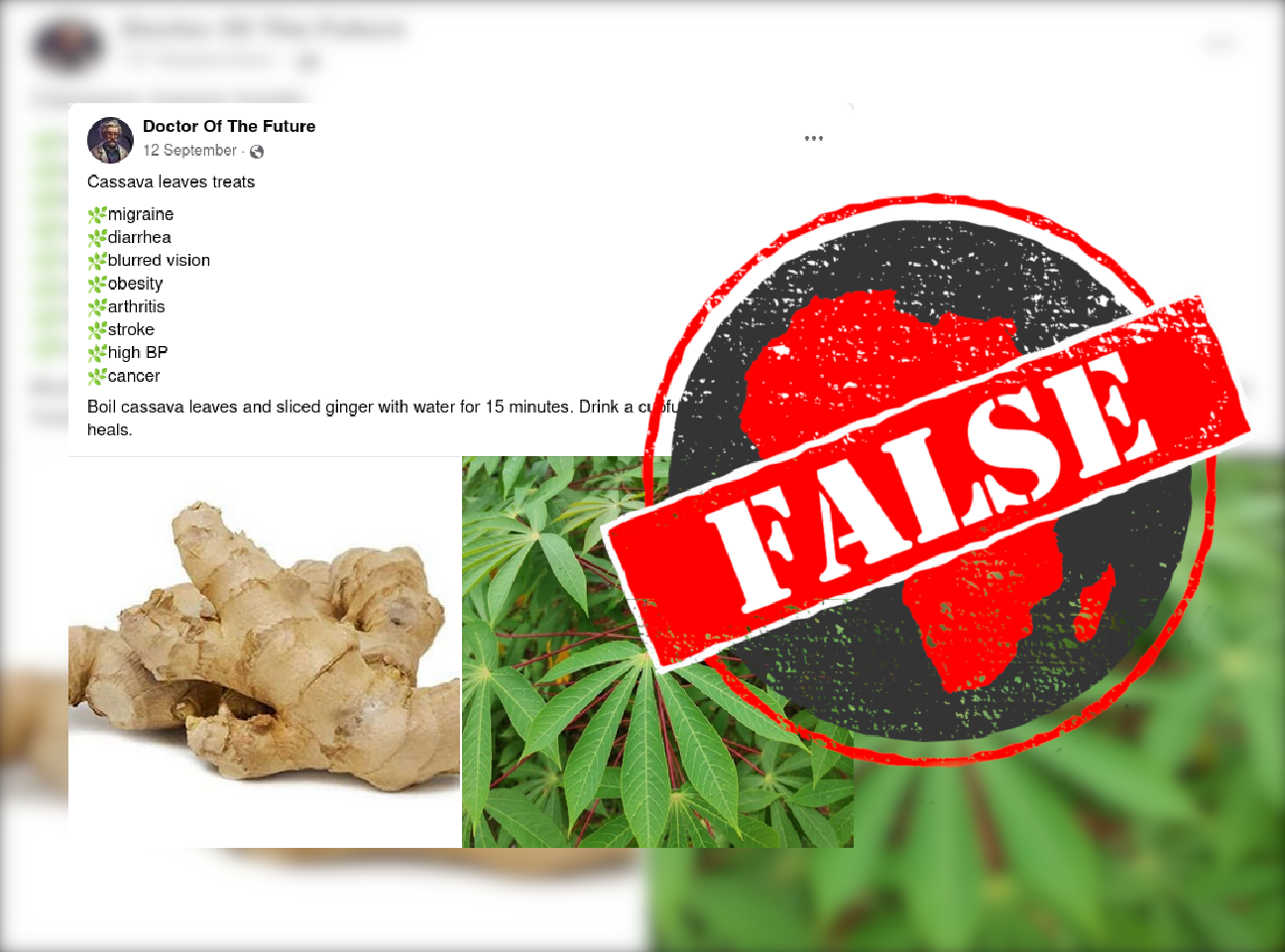 False claim about cassava leaves