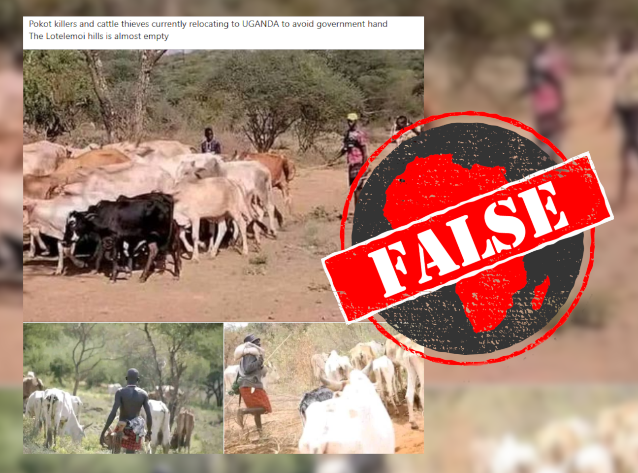 CattleUganda_False