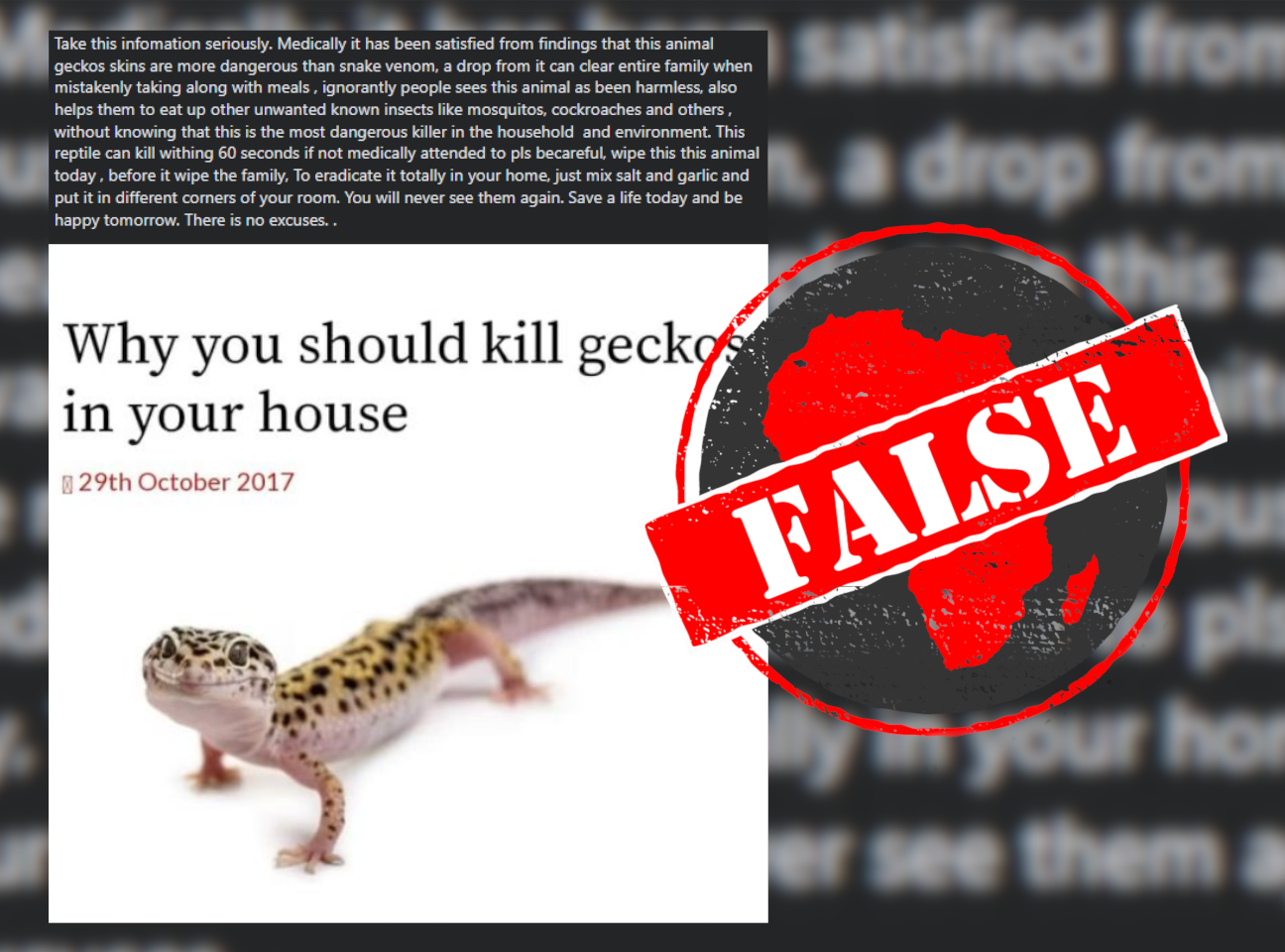 Geckos_False