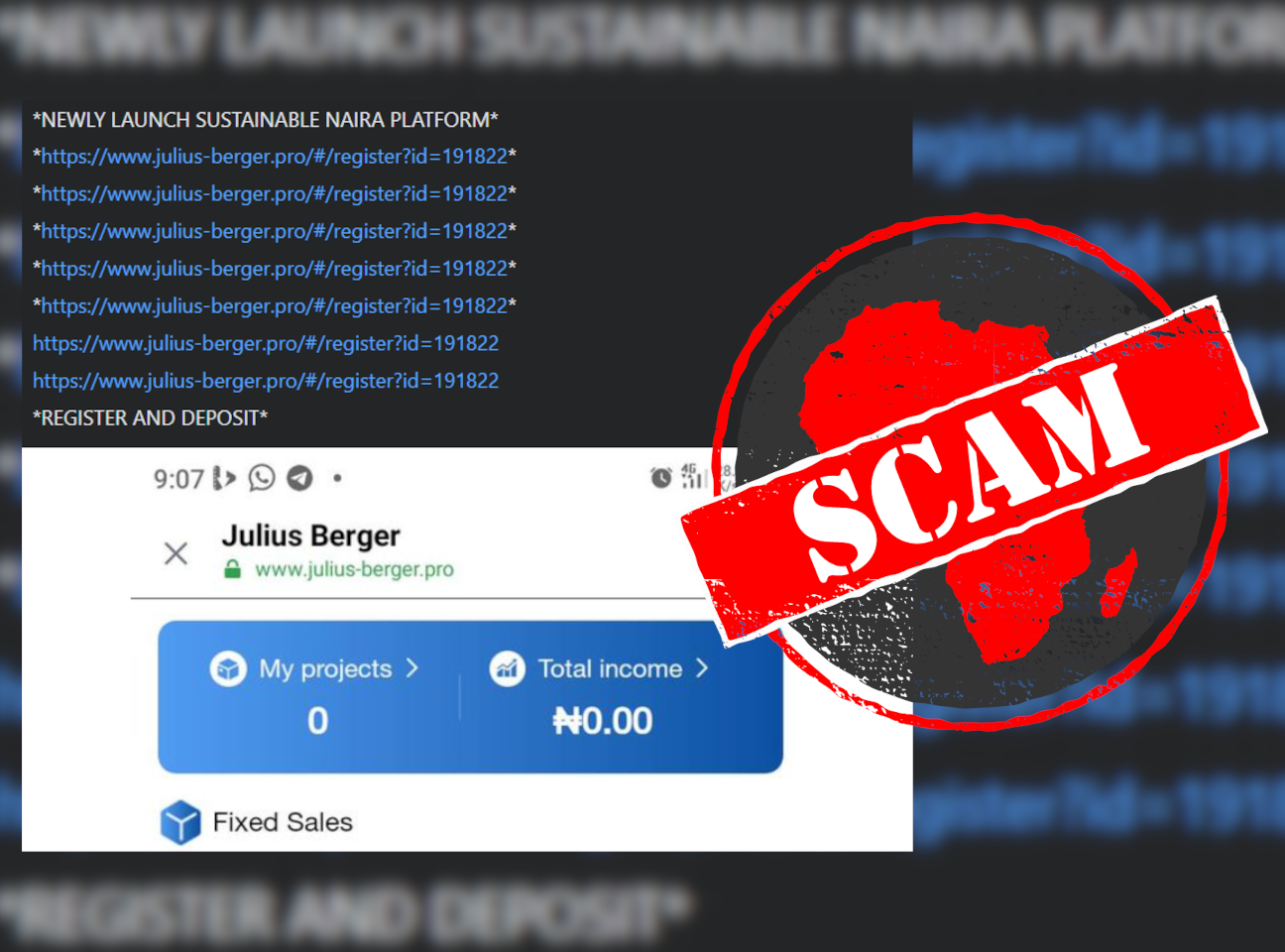 JuliusBergerInvestment_Scam