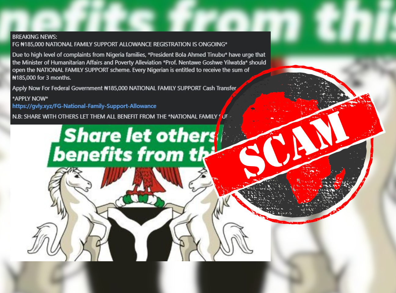 NGGov_Scam