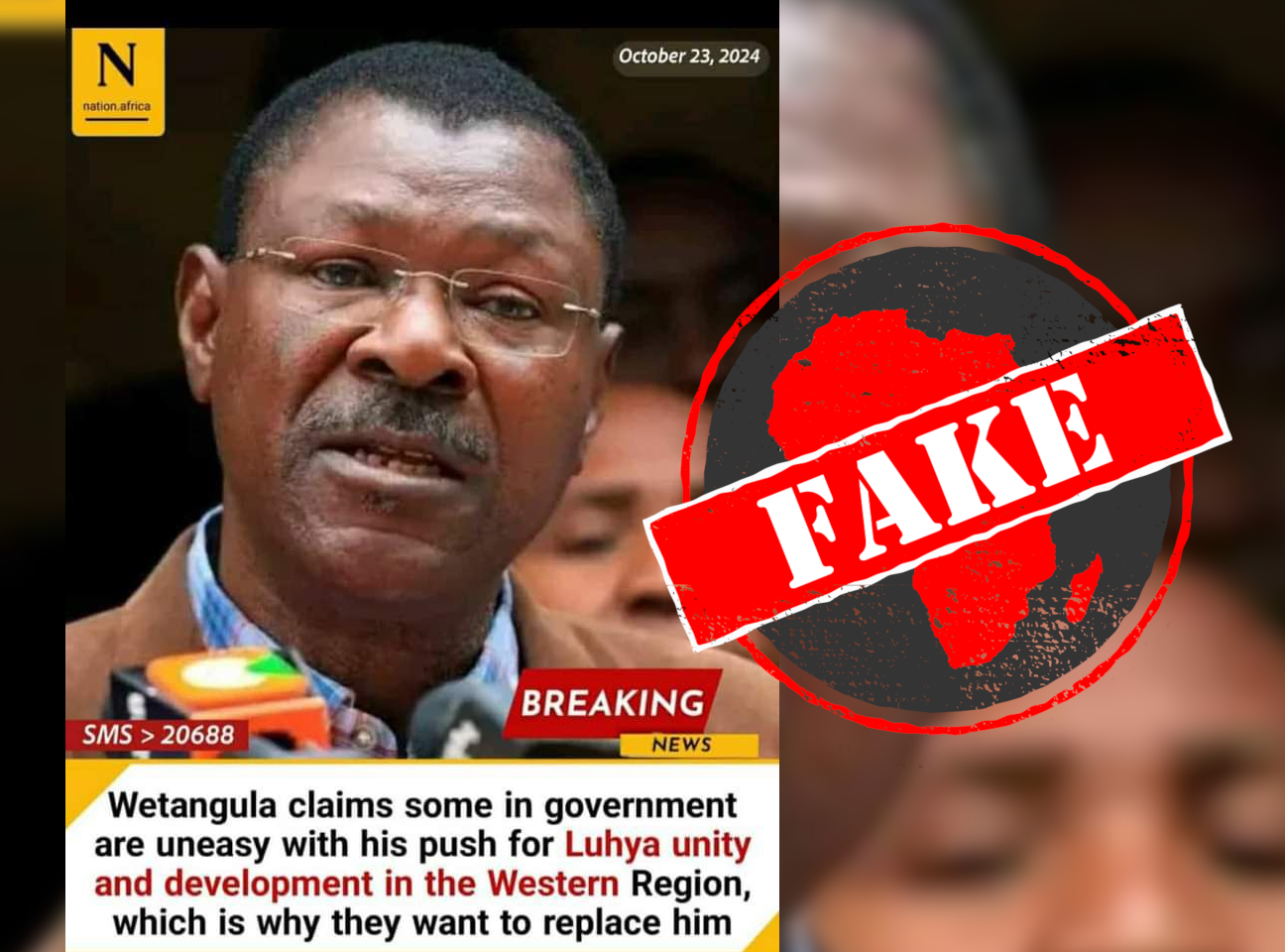 NationGraphicKenya_Fake