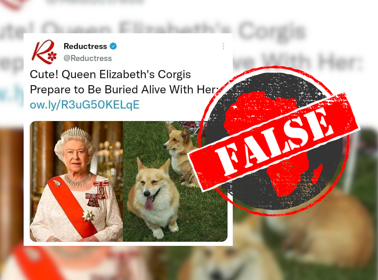 QueenCorgis_False
