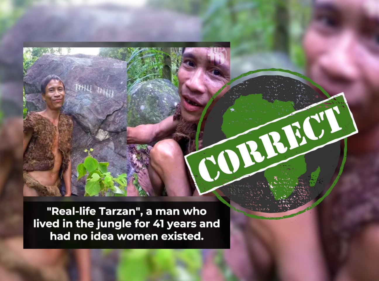 Tarzan_correct