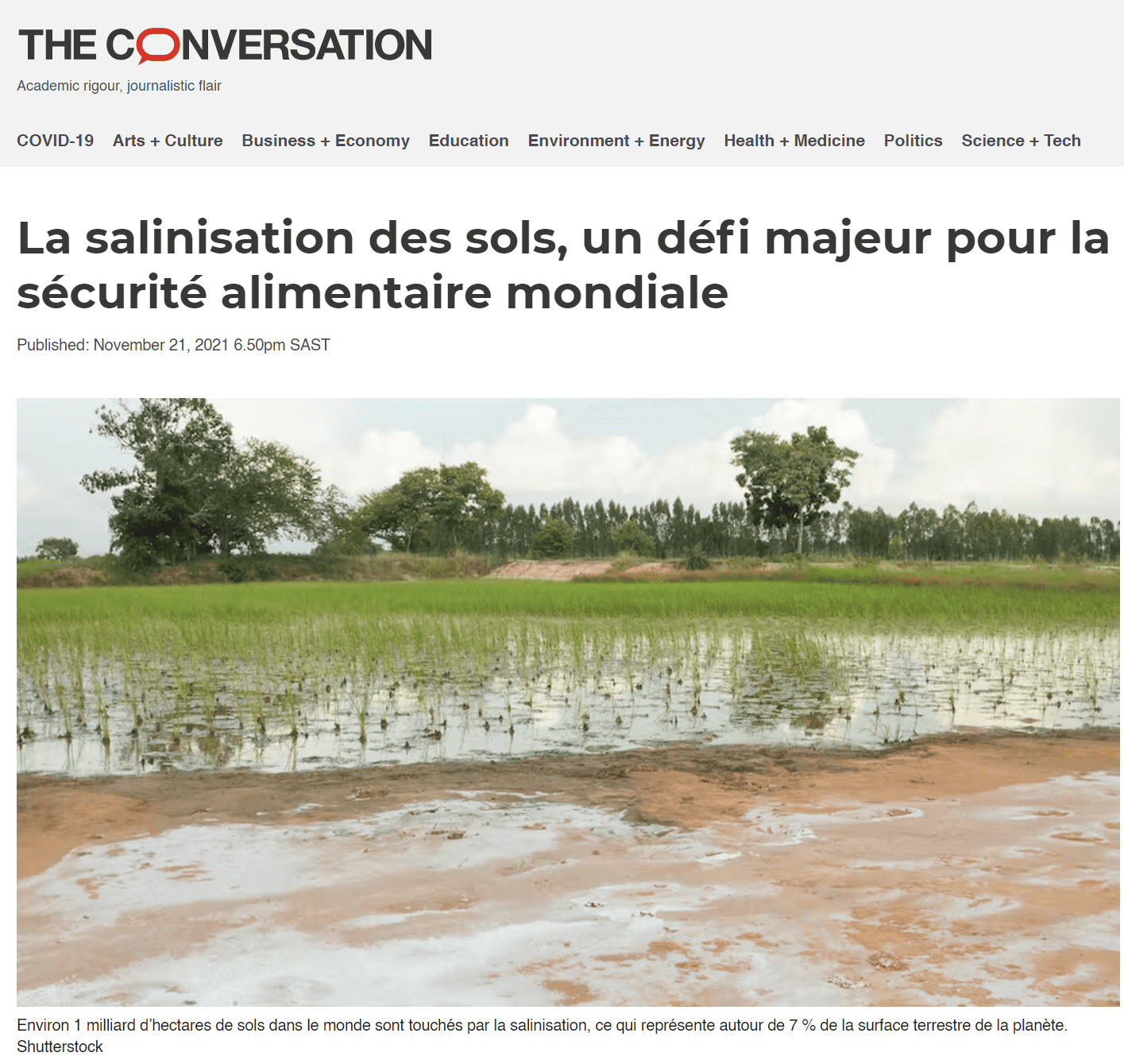 La salinisation des sols, un défi majeur pour la sécurité alimentaire mondiale, article à lire sur The Conversation.