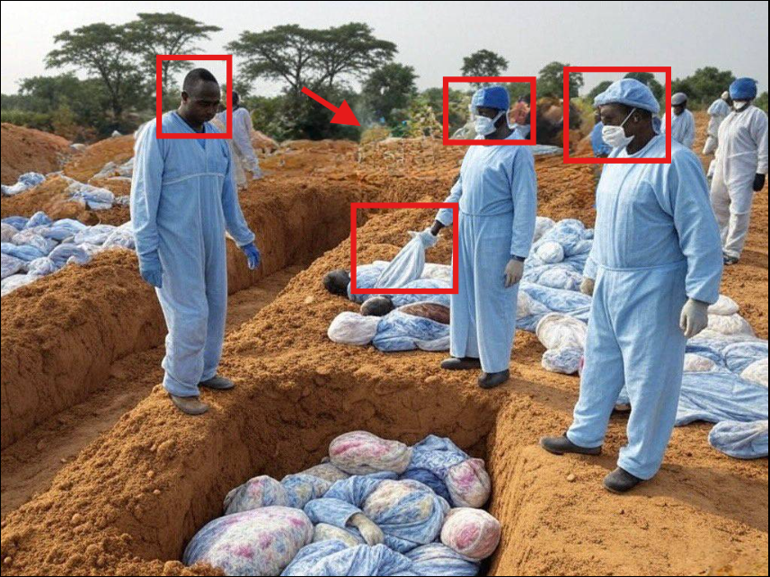 Capture d'écran de la publication 