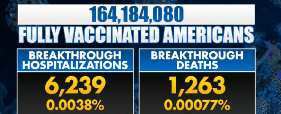 Fox News graphic listing proportion of fully vaccinated Americans who have been hospitalised with or died from Covid-19.