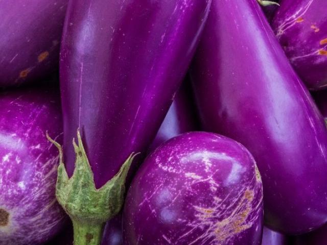 Purple eggplants 