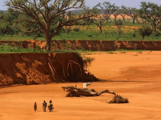 A group of children cross a dry river-bed in Niger during the 2005 famine. Photo: Julian Rademeyer