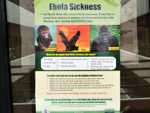 ebola flyer