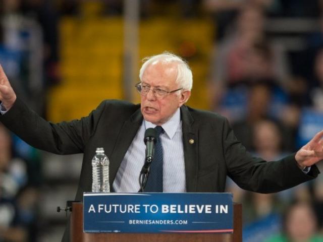 Democratic presidential hopeful Bernie Sanders addresses a 'Future to Believe In' rally at the Family Arena in St. Charles, Missouri, in March 2016. Photo: AFP/Michael B. Thomas