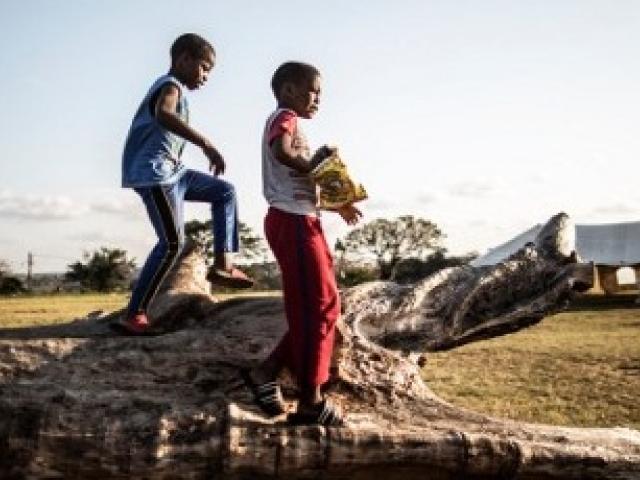 Children play on top of a tree trunk in the Umlazi district of Durban in August 2016. Photo: Marco Longari/AFP