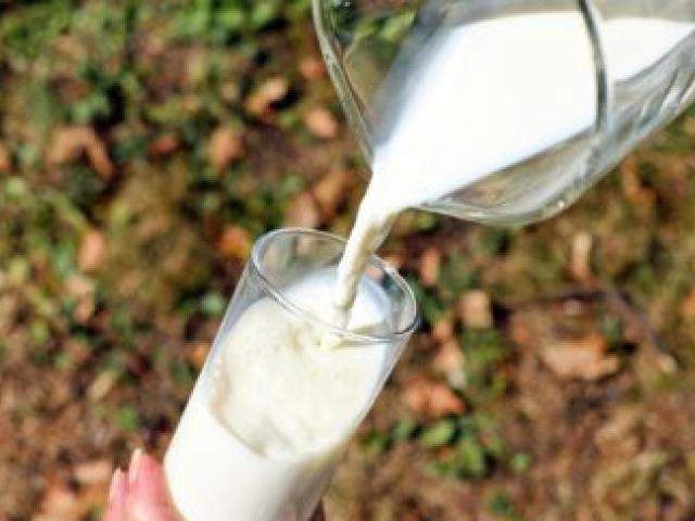 Les diététiciens ne confirment les vertus thérapeutiques prêtées au lait d'ail. Photo Pixabay.