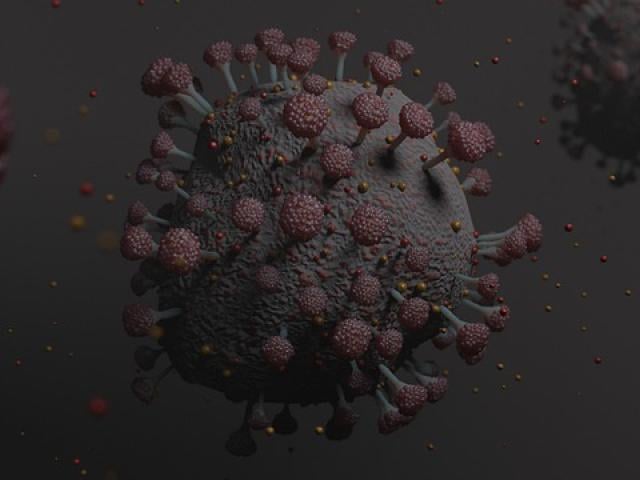 Coronavirus SARSCoV2 (Illustration)