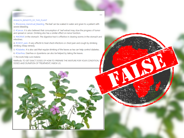 Plant_False