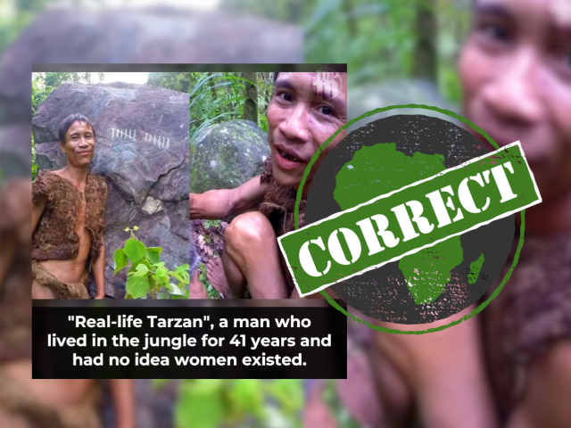 Tarzan_correct