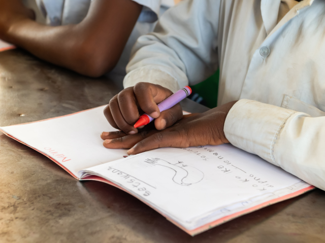 SA Bela Act explainer