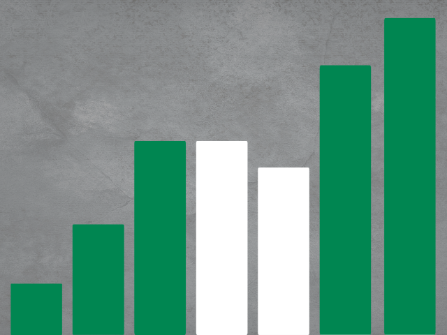 NG factsheet economy
