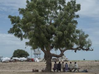 People under tree in Nigeria
